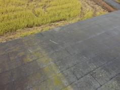 屋根カビ　コケ　調査