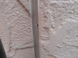 コーキング劣化