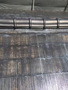 洗浄後　カビコケ