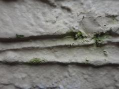 雨漏り　コーキング　遮熱