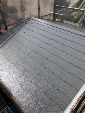 こけ　カビ　遮熱