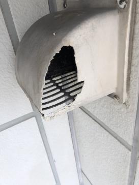 防水　塗料　岡崎