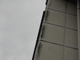 シリコン　コーキング　岡崎