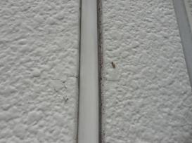 雨漏り　岡崎　塗料