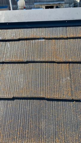 屋根　カビコケ　