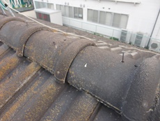 塗装　遮熱　屋根